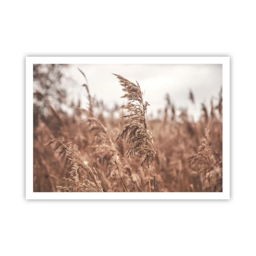 Poszter - Ősz van már a mezőkön - 100x70 cm