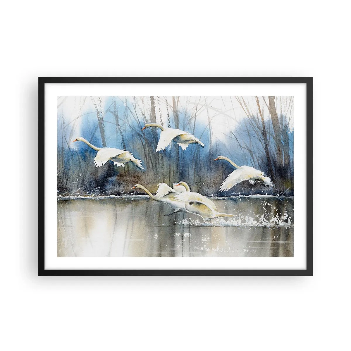 Poszter fehér keretben - Mint a vadhattyúkról szóló mesében - 70x50 cm