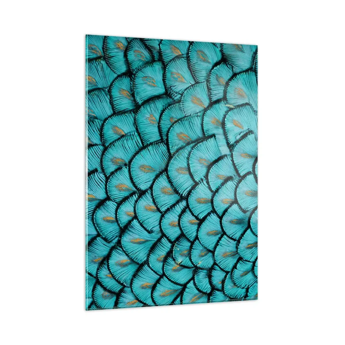 Üveg kép - A tollak nagy gálája - 50x70 cm