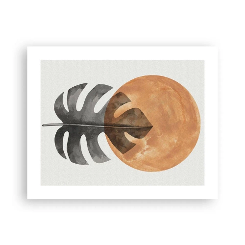 Poszter - Mindig a nap - 50x40 cm