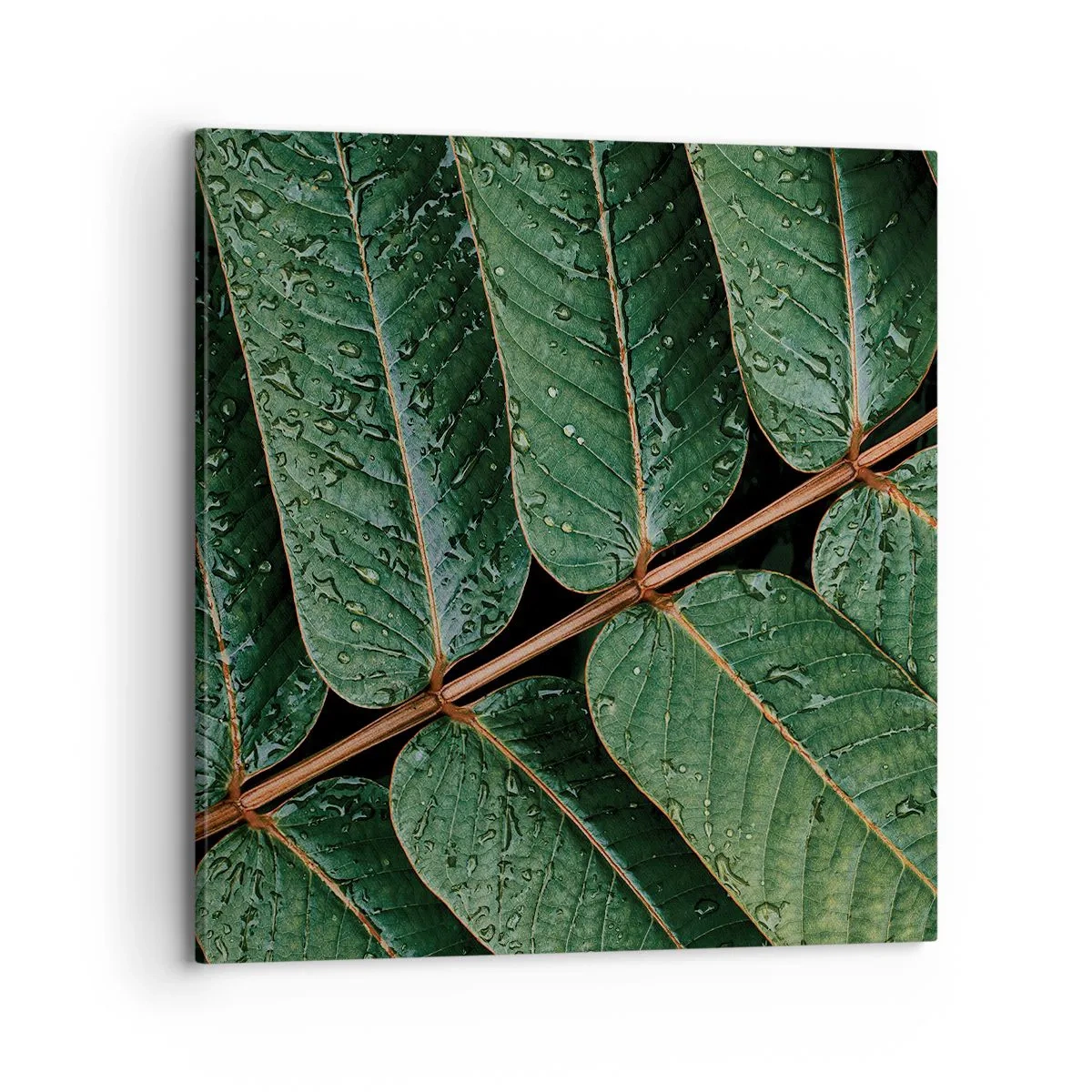 Vászonkép - Zöld ritmusban - 70x70 cm