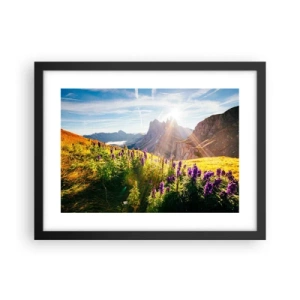 Poszter fehér keretben - A gyógynövények titkos élete - 40x30 cm