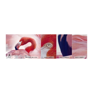Fotótapéta Minta Premium Sand - Madári szépség - Flamingó, Madár, Természet - 100x30 cm