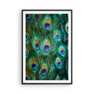 Poszter fehér keretben - Pávaszemű pillantás - 61x91 cm