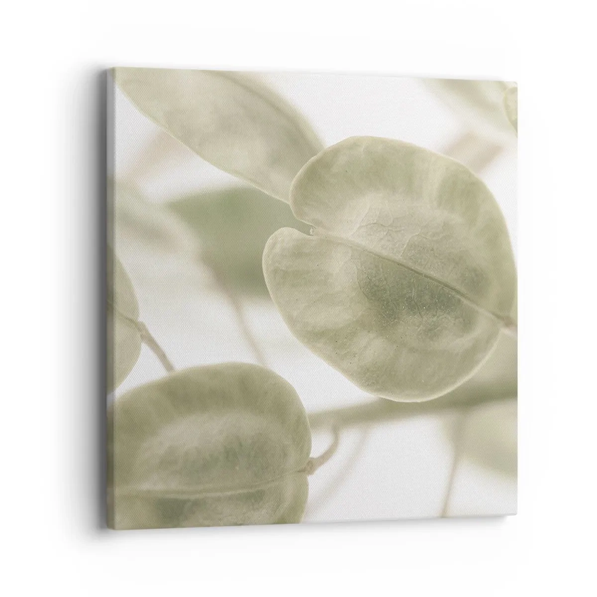 Vászonkép - Kezdetben levelek voltak... - 40x40 cm