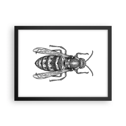 Poszter fehér keretben - Egy rovar bolygóról - 40x30 cm