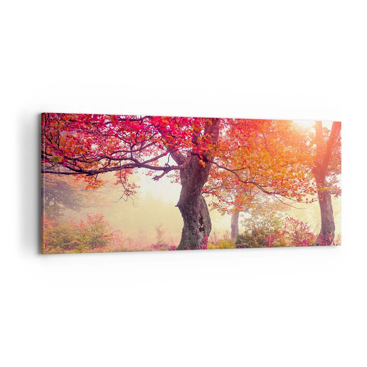 Vászonkép - Virágzás őrülete - 100x40 cm