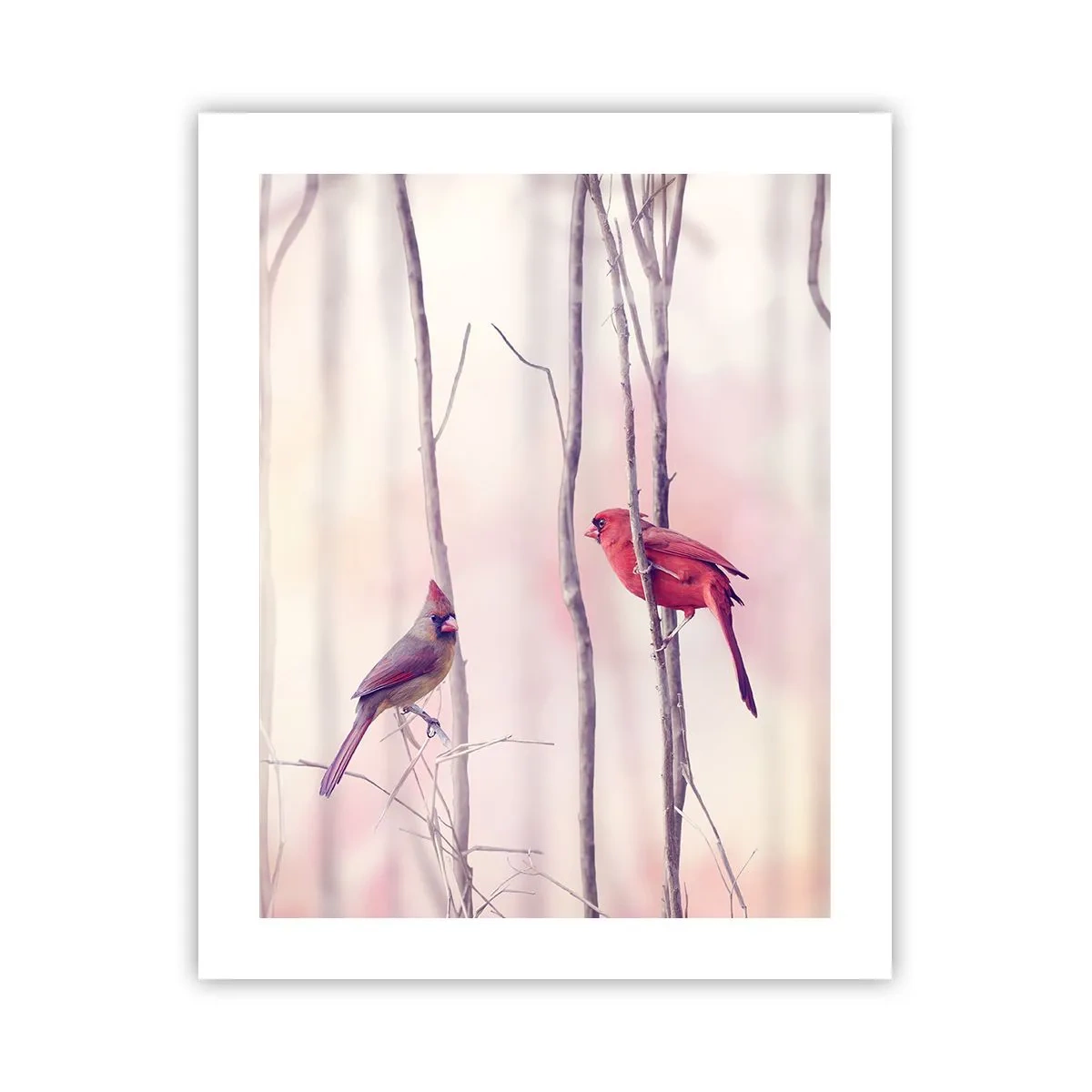 Poszter - Rózsaszín erdő története - 40x50 cm