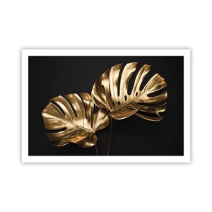 Poszter - A természet kincsei - 91x61 cm