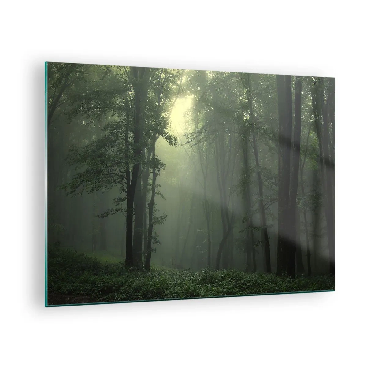 Üveg kép - Egy sötét erdő, fénysugarakkal borított ködbe burkolózva - 70x50cm - Mielőtt felébred - Modern fali dekoráció nappalihoz és hálószobához ARTTOR