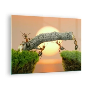 Üveg kép - Hangyák hidat építenek naplementekor - 70x50cm - Boldog, közös munka - Modern fali dekoráció nappalihoz és hálószobához ARTTOR