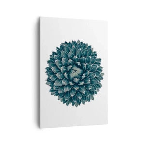 Vászonkép - A sivatag csillaga - 70x100 cm