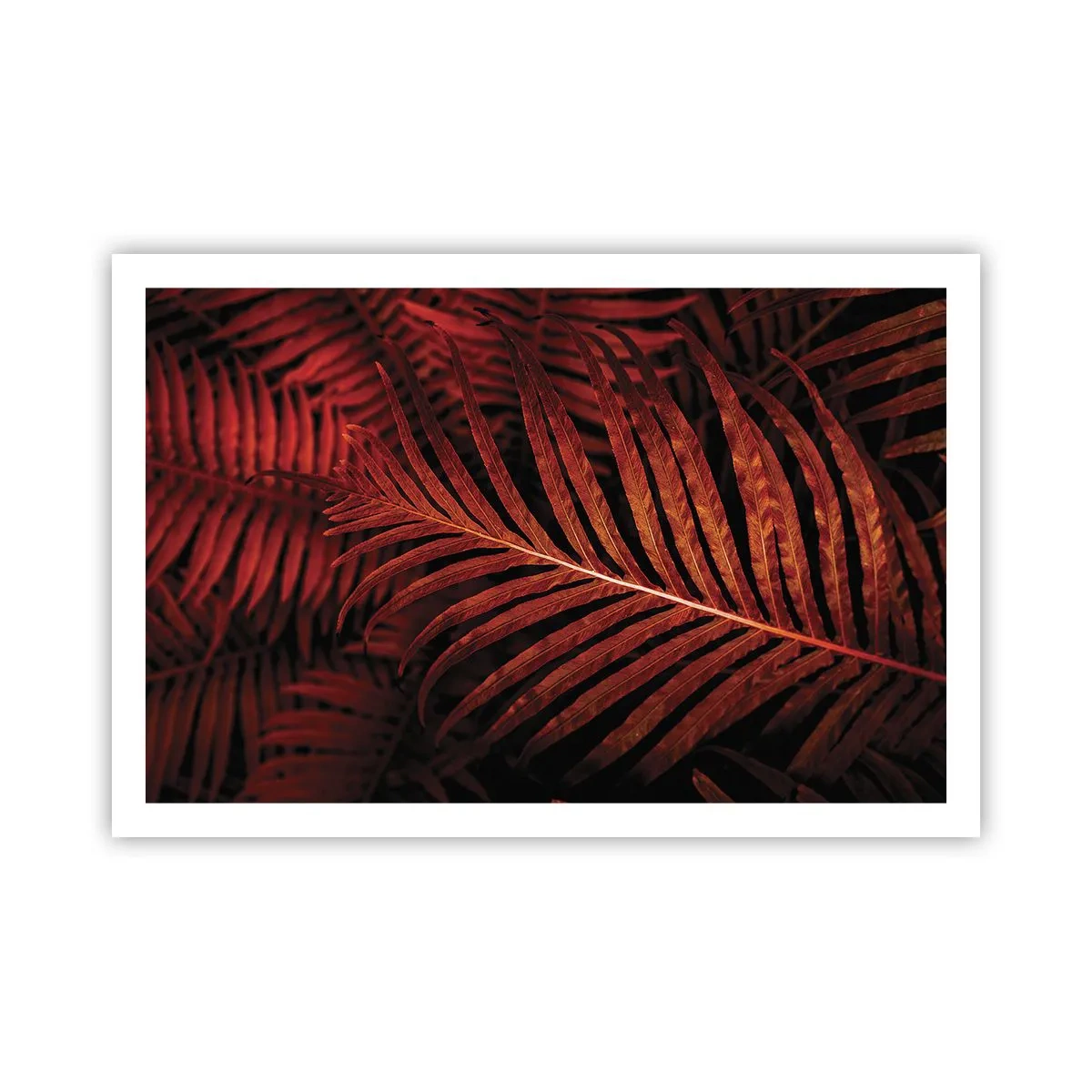 Poszter - Az élet vörös színe - 91x61 cm