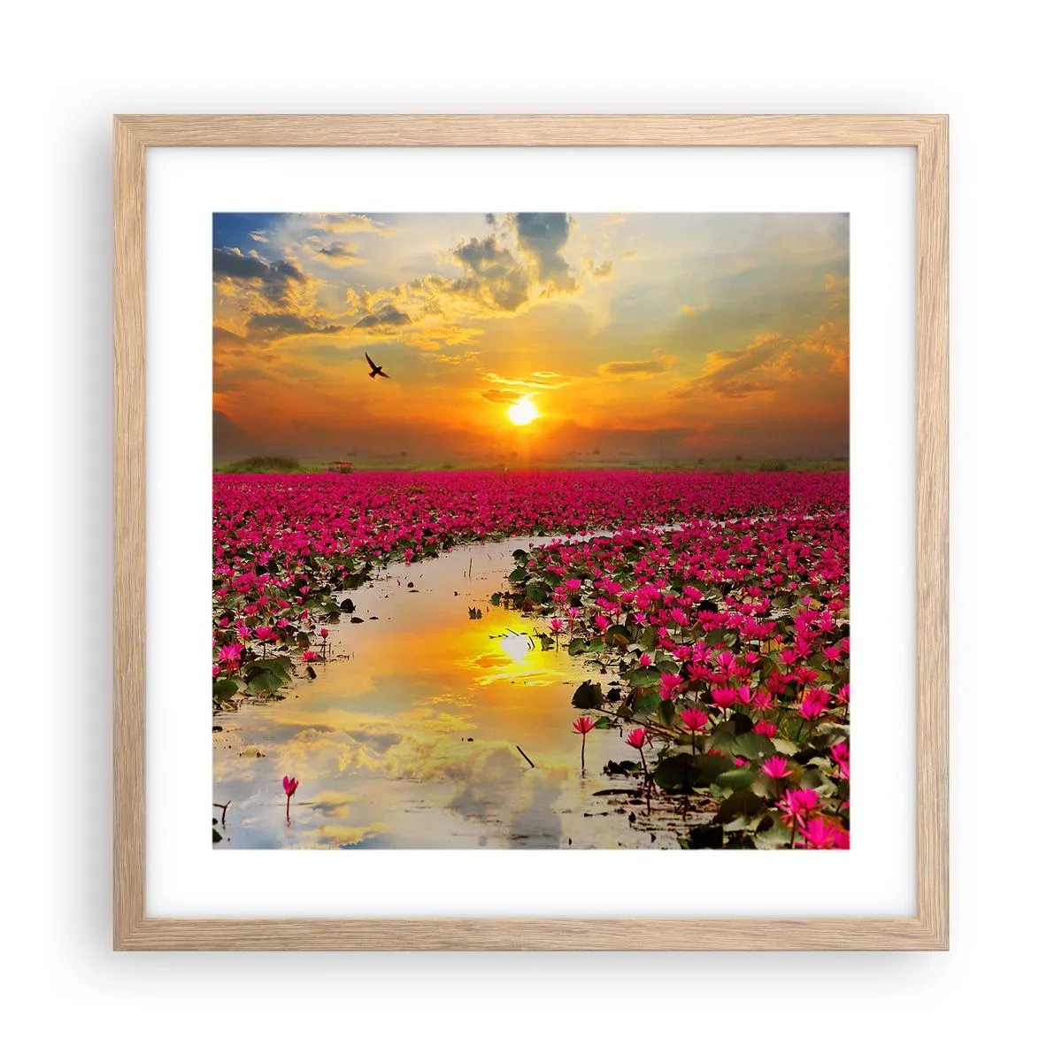 Poszter világos tölgy keretben - A tó titokzatos élete - 40x40 cm