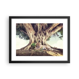 Poszter fehér keretben - Kilátás a Genezis könyvéből - 40x30 cm