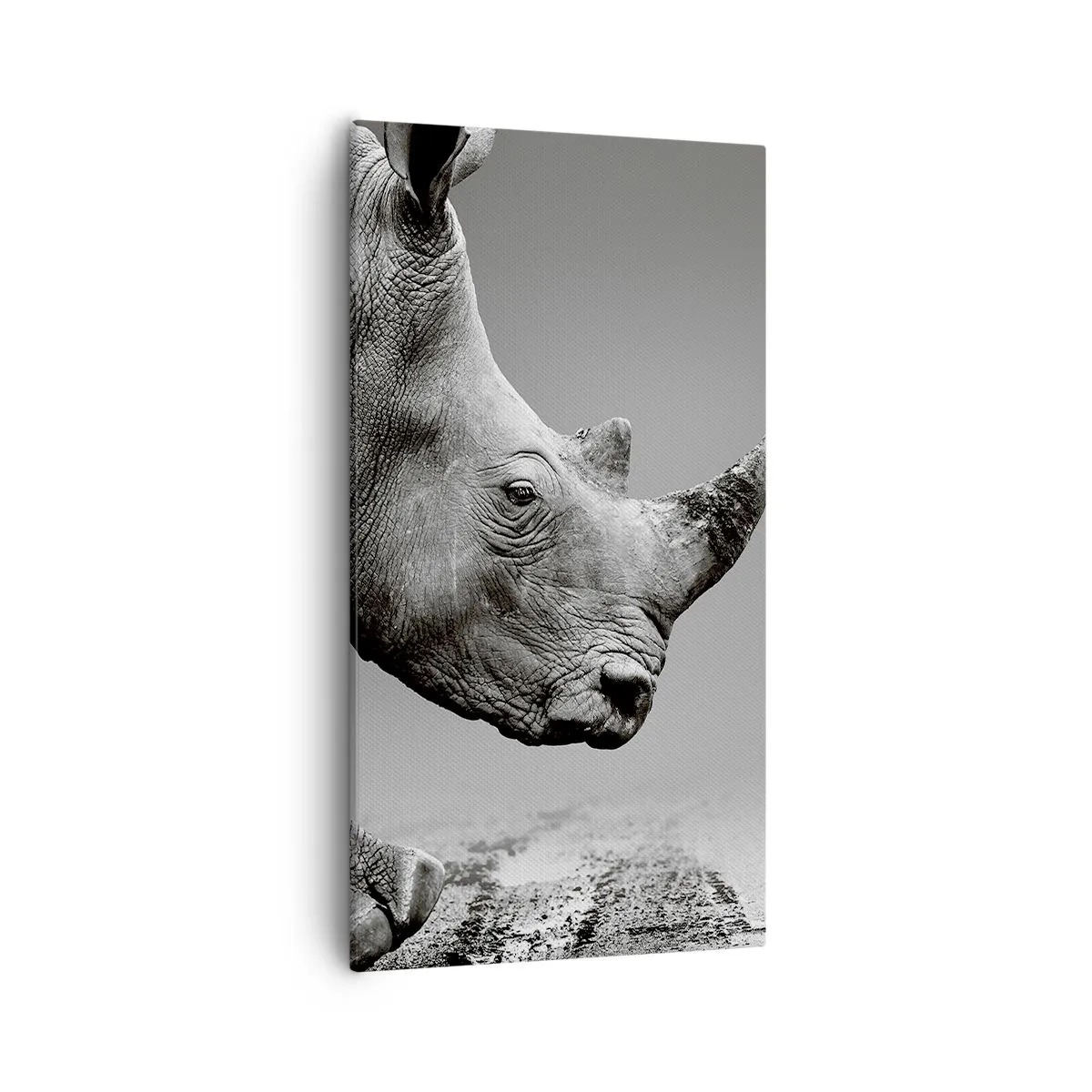 Vászonkép - Megállíthatatlan erő - 55x100 cm