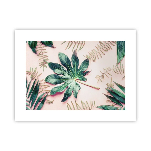 Poszter - A zöld tanulmánya a rózsaszín háttérben - 40x30 cm