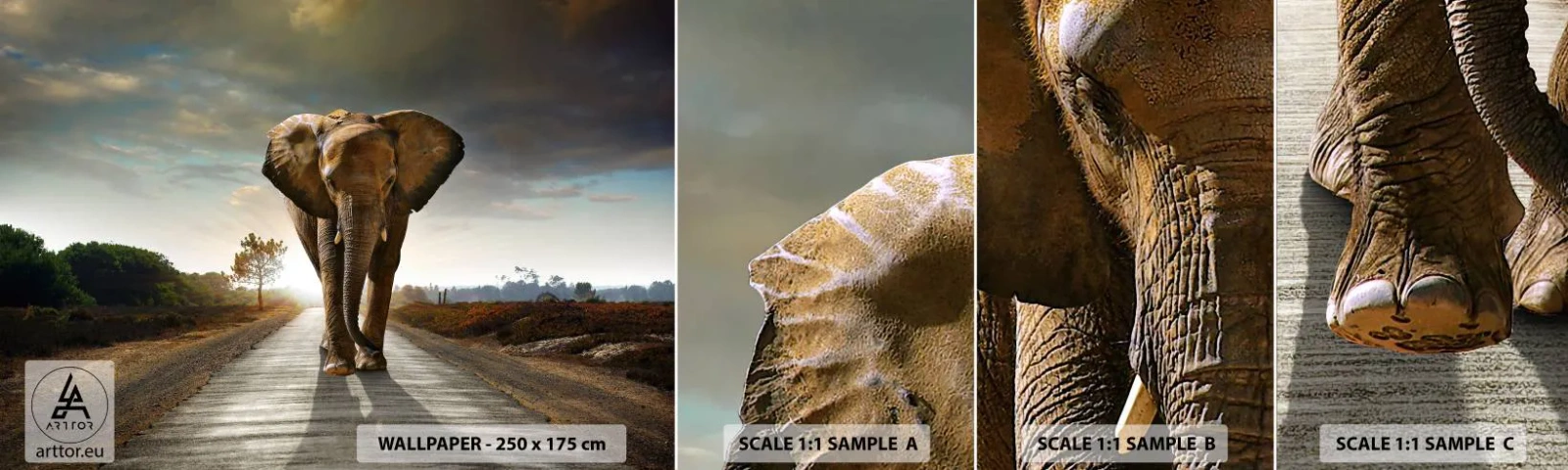 Fotótapéta Minta Standard Eco - És egyáltalán nem porcelánraktárban - Elefánt, Tájkép, Természet - 100x30 cm