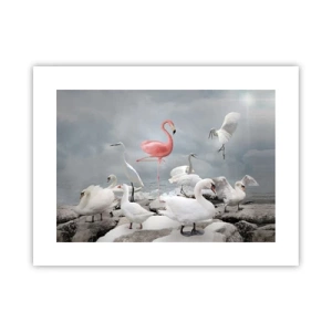 Poszter - Hogy kerültem ide? - 40x30 cm