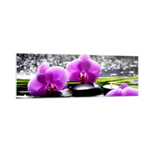 Üveg kép - Elmerülni a békében és a csendben - 160x50 cm