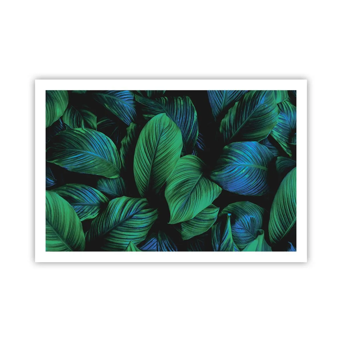 Poszter - A zöld tömegben - 91x61 cm