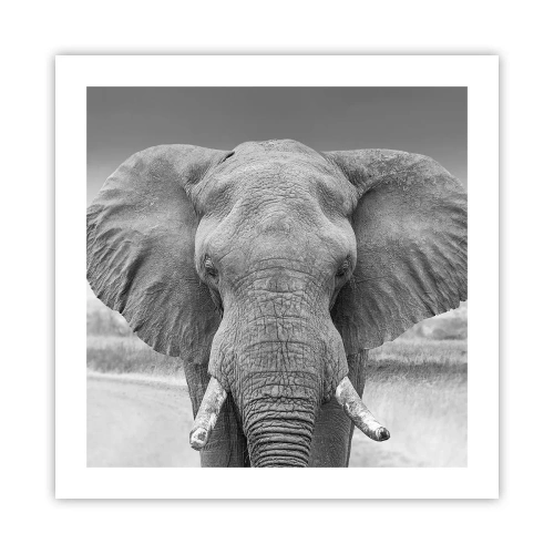 Poszter - Üdv a világomban - 50x50 cm