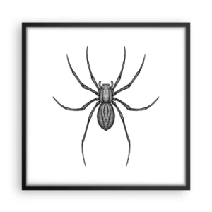 Poszter fehér keretben - Zavaró precizitás - 50x50 cm