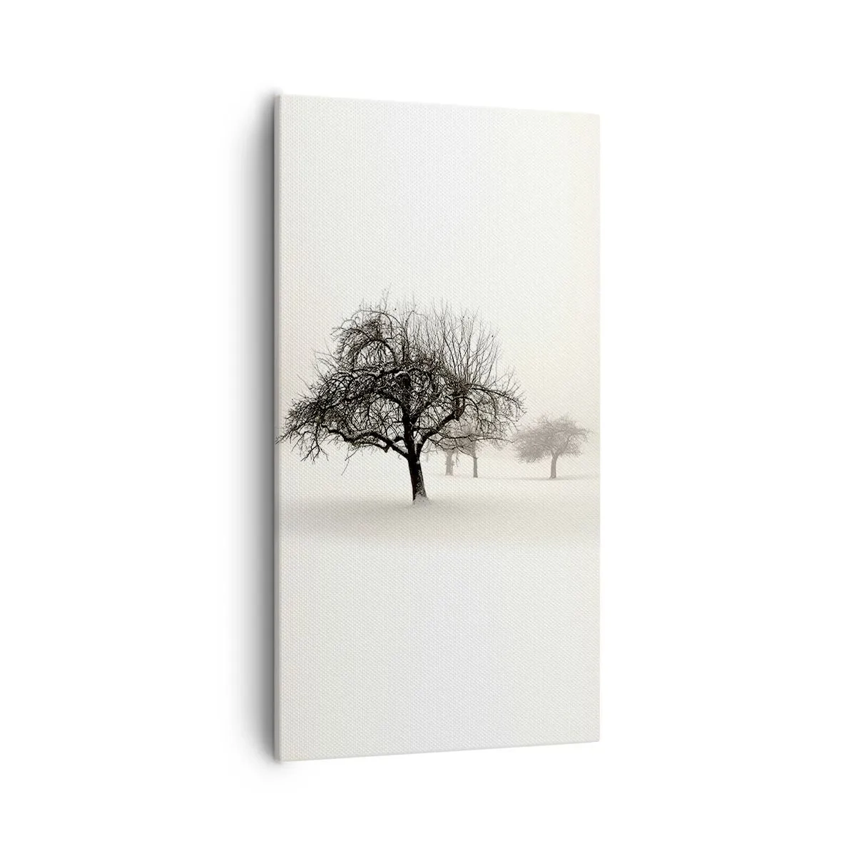 Vászonkép - Téli álom - 55x100 cm