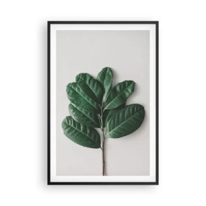 Poszter fehér keretben - Rajz csak a természetről - 61x91 cm