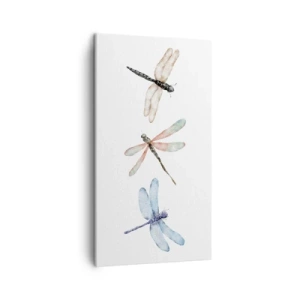 Vászonkép - Súlytalan szitakötők - 45x80 cm