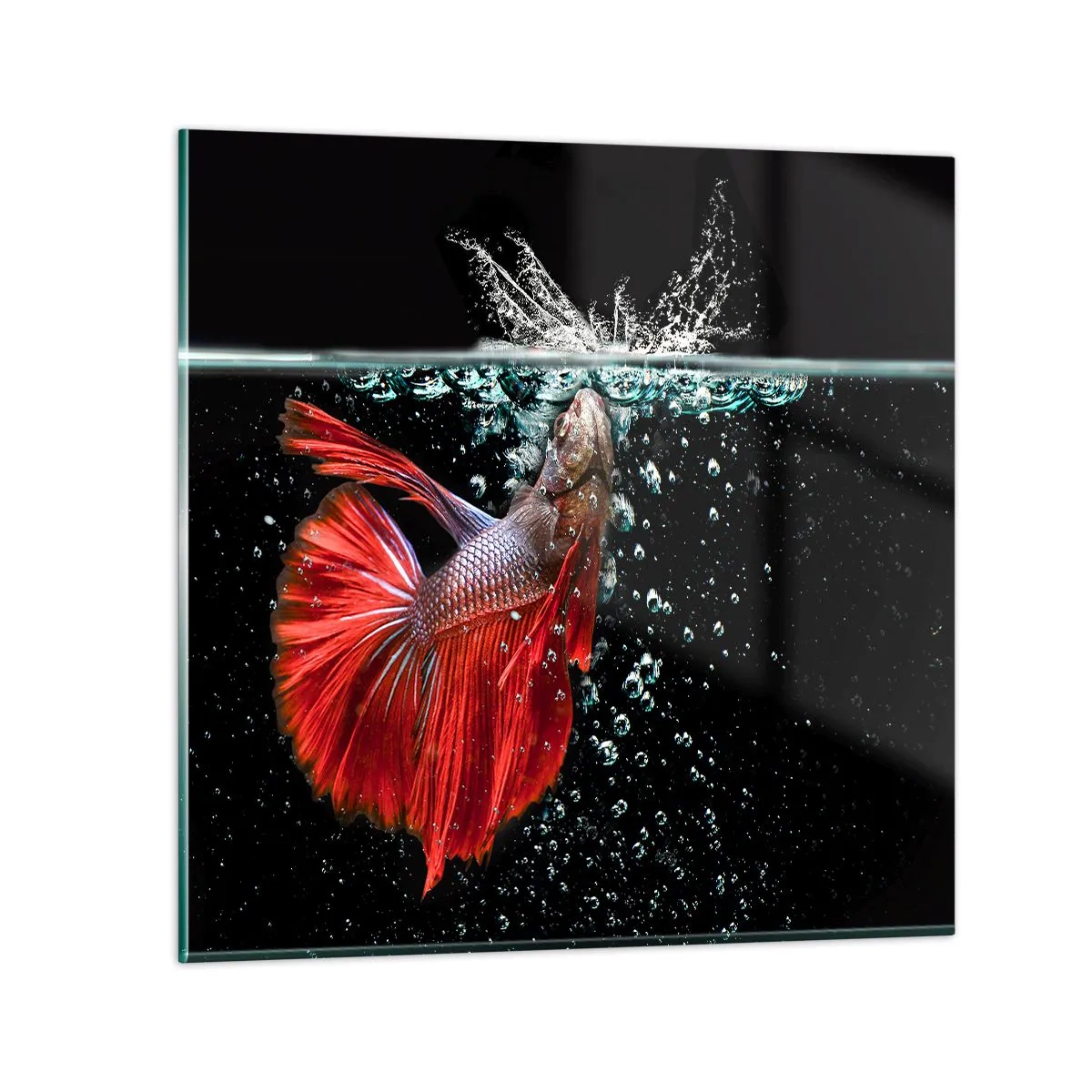 Üveg kép - Három kívánságod van - 60x60 cm