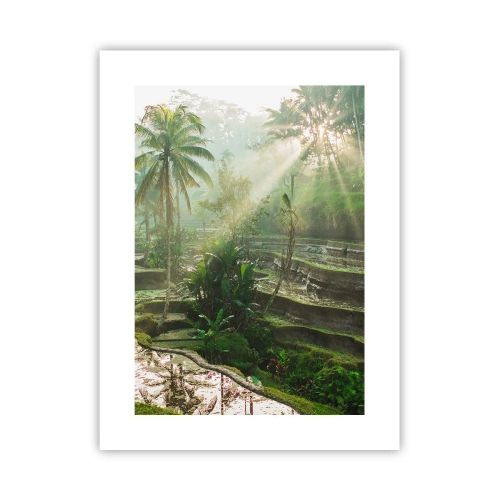 Poszter - Felnőni a napon - 30x40 cm