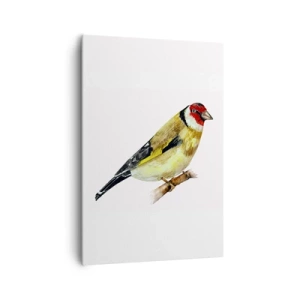 Vászonkép - Madárportré - 70x100 cm