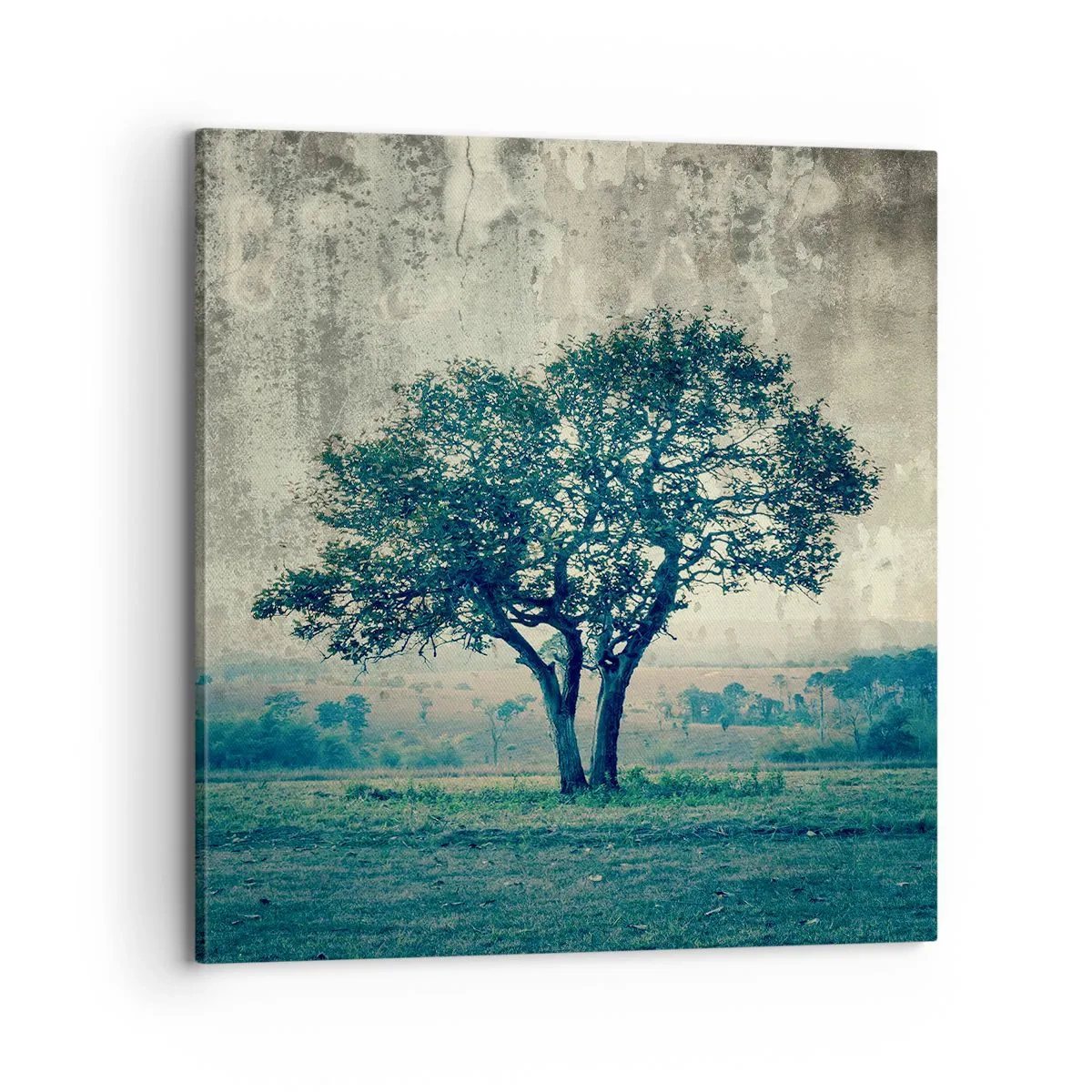 Vászonkép - Almafa a kék mezőn? - 70x70 cm