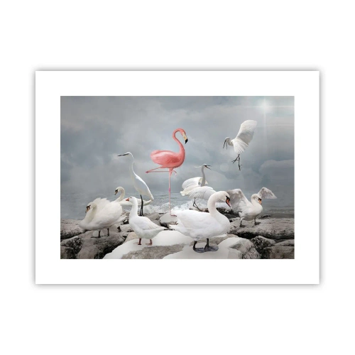 Poszter - Hogy kerültem ide? - 40x30 cm