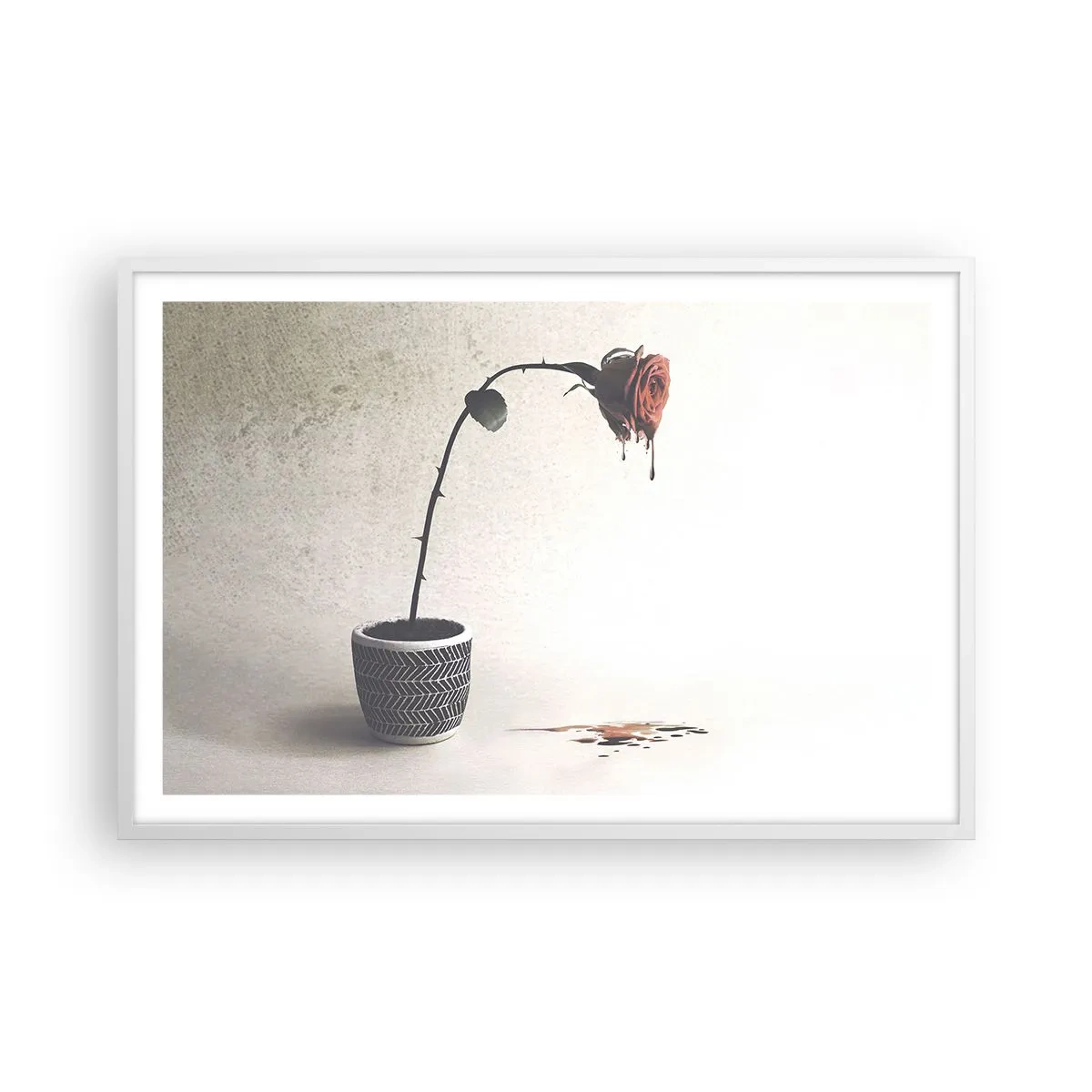 Poszter fekete keretben - Rosa dolorosa - 91x61 cm