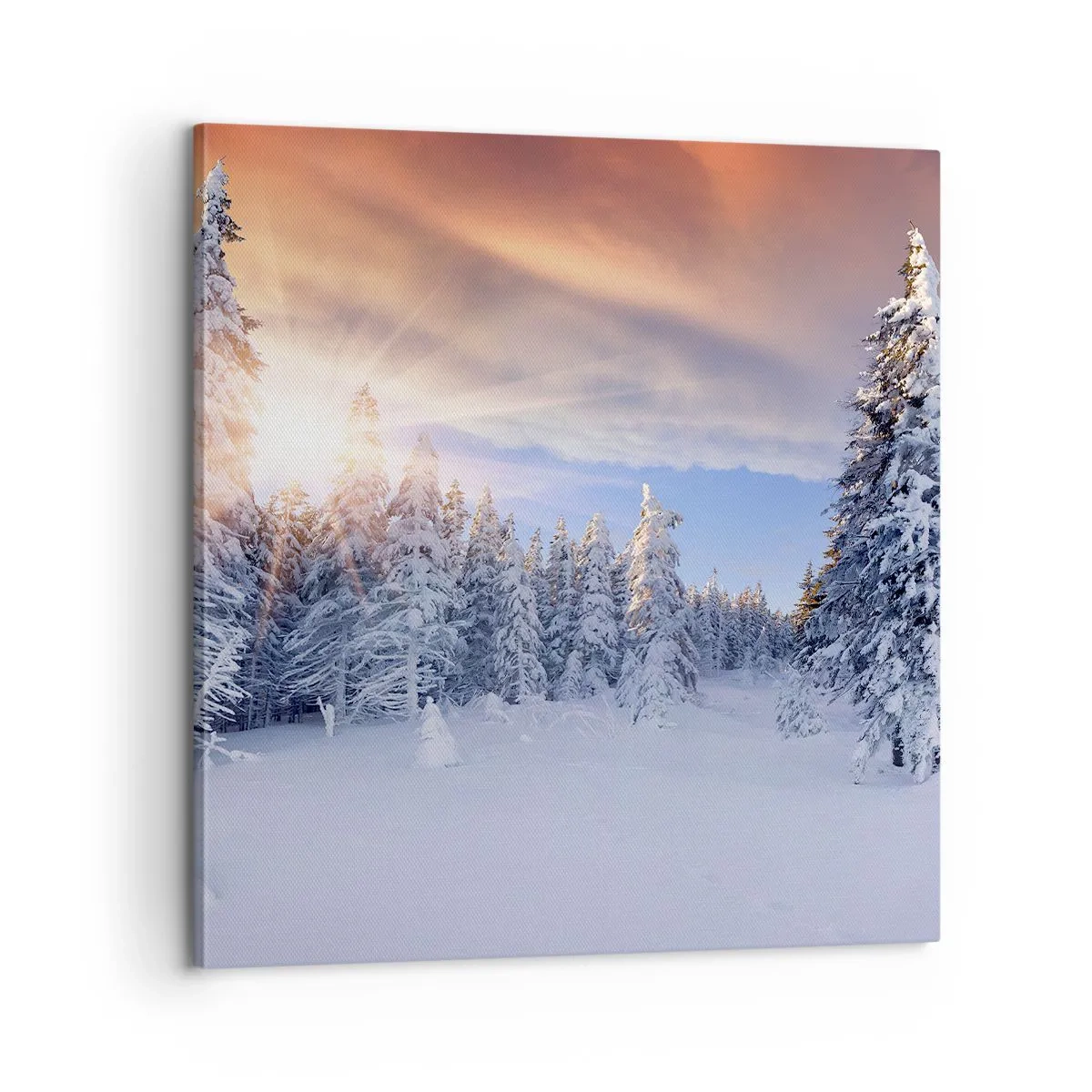 Vászonkép - A természet havas látványa - 60x60 cm