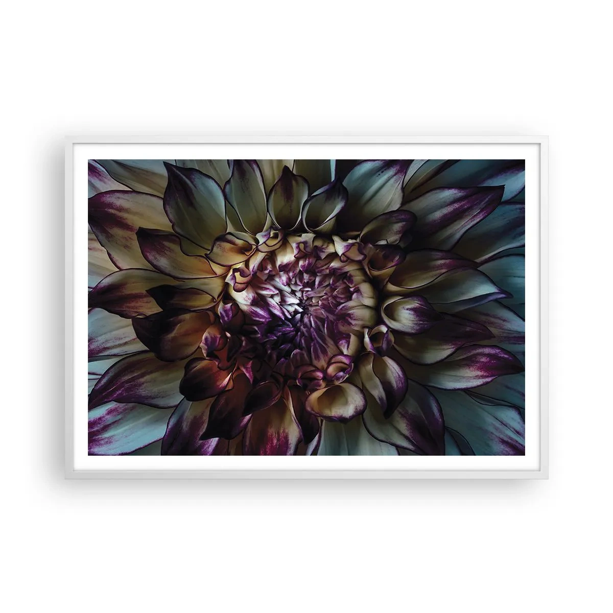 Poszter fekete keretben - A fiatalság kivirágzása - 100x70 cm