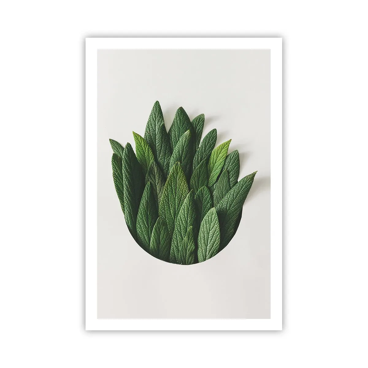 Poszter - Féktelen kíváncsiság - 61x91 cm