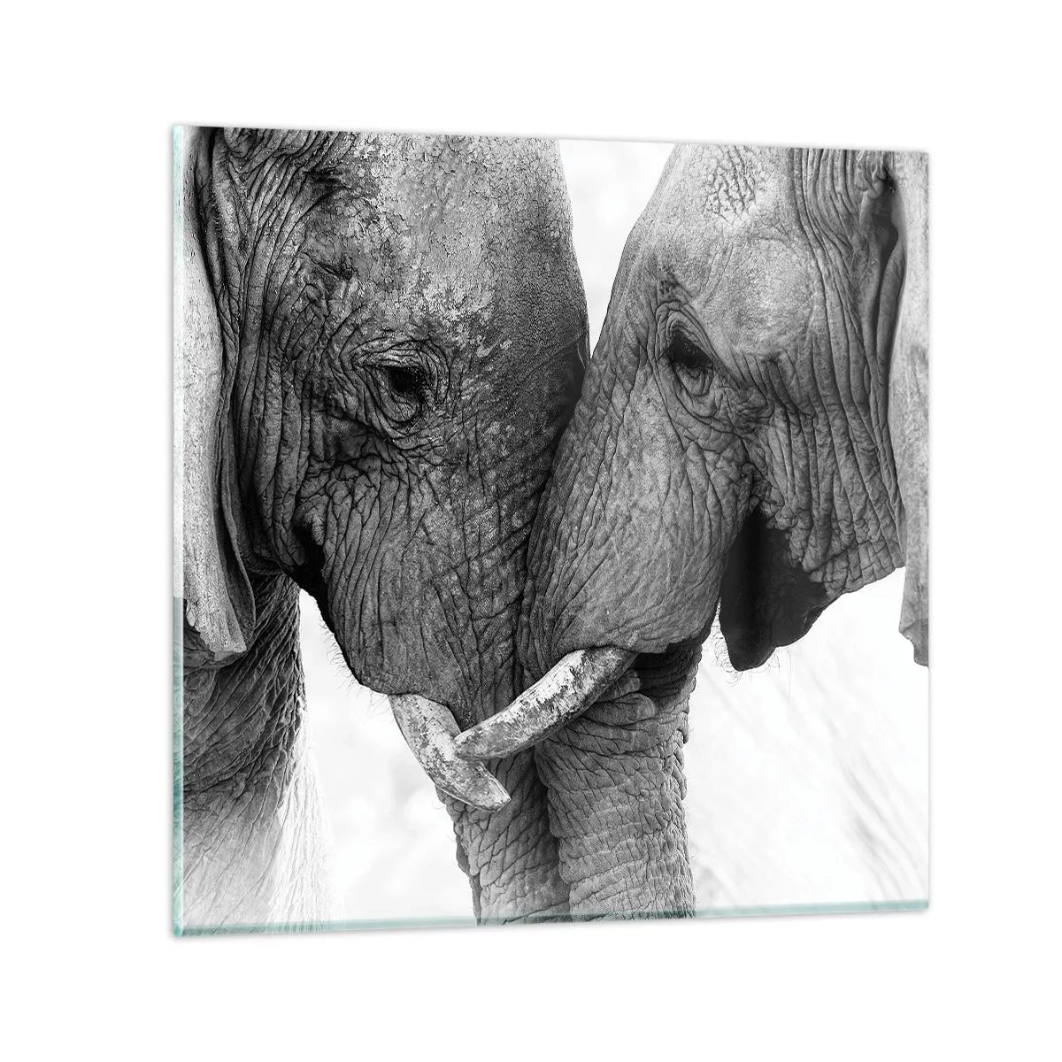 Üveg kép - Szívélyes vallomás - 70x70 cm