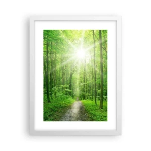 Poszter fekete keretben - A zöld katedrális - 30x40 cm