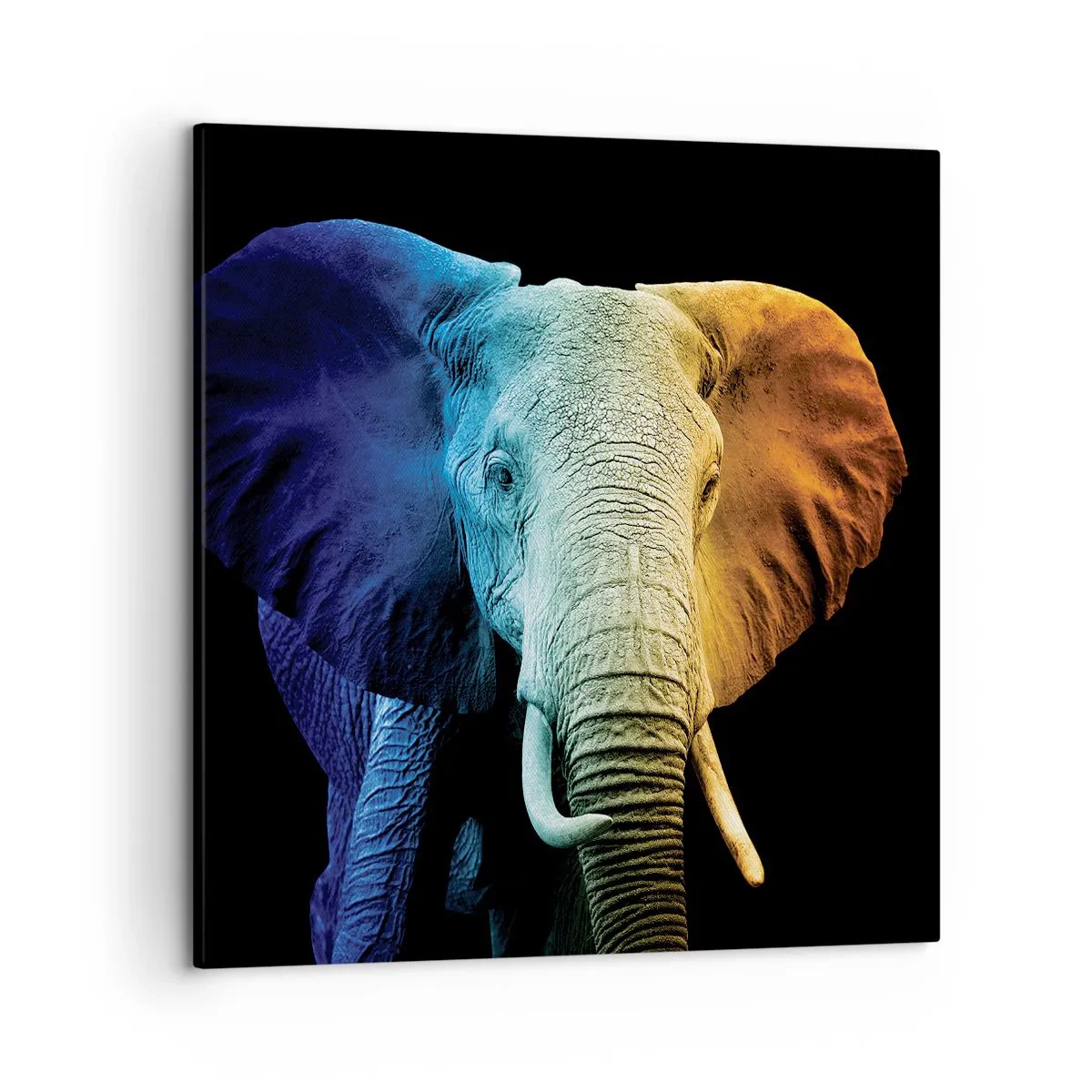 Vászonkép - Excentrikus, nem különc - 50x50 cm