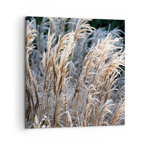 Vászonkép - Zúzmarába öltözött - 50x50 cm