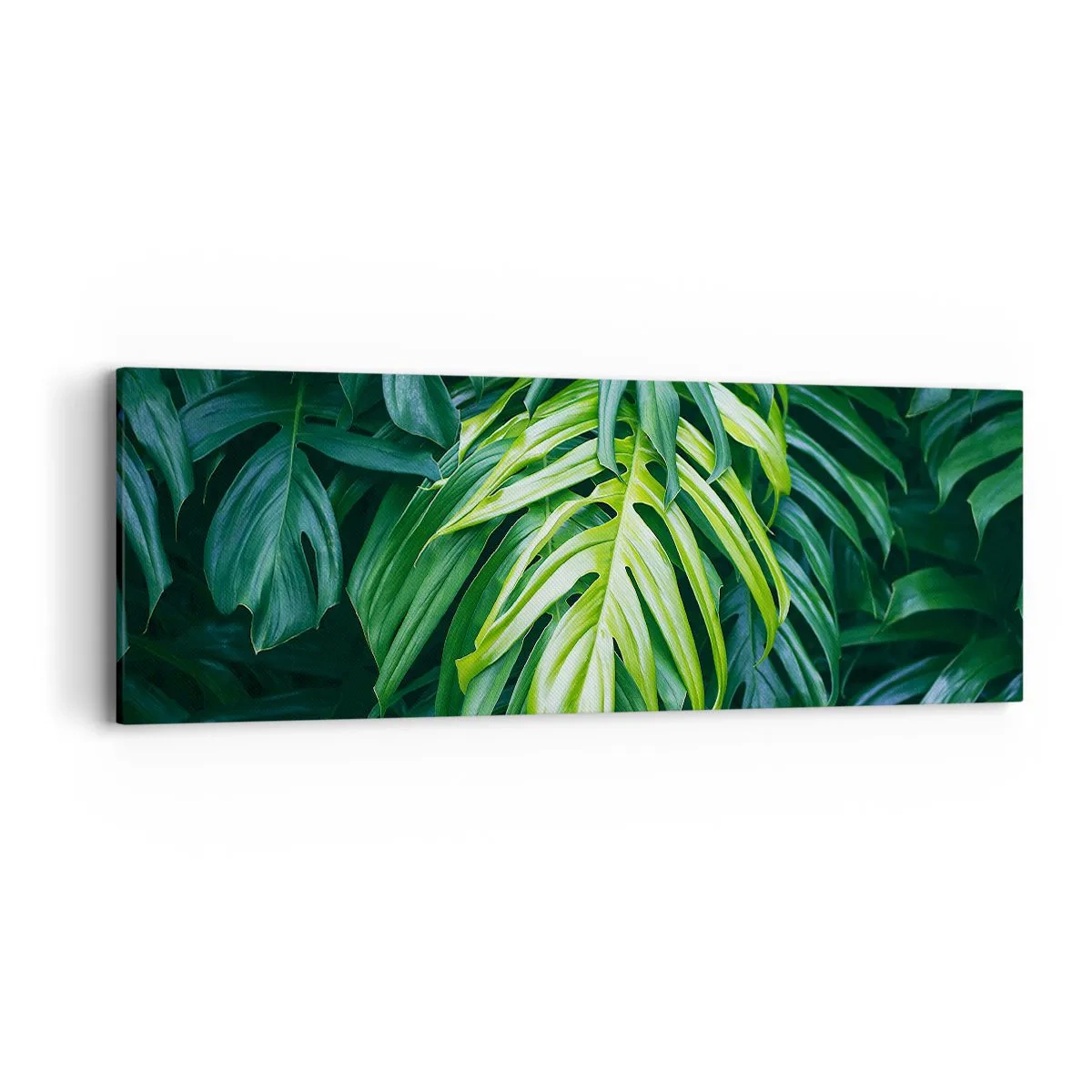 Vászonkép - Merüljön el a frissességben - 90x30 cm