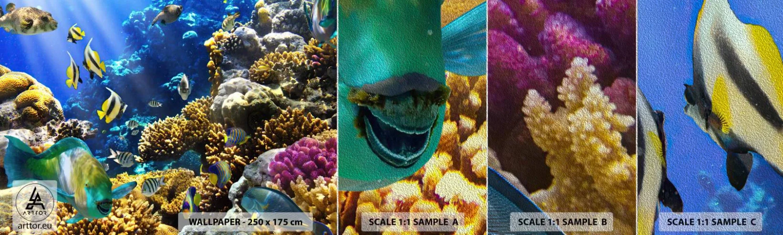 Fotótapéta Minta Premium Sand - Nagy forgalom a nyaraló ösvényen - korallzátony, óceán, Hal - 100x30 cm