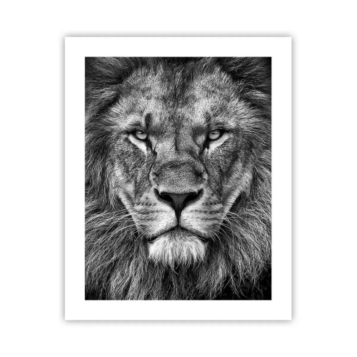 Poszter - Őfelségi palástban - 40x50 cm