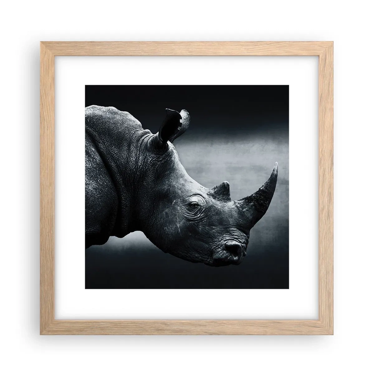 Poszter világos tölgy keretben - Jobb profil - 30x30 cm