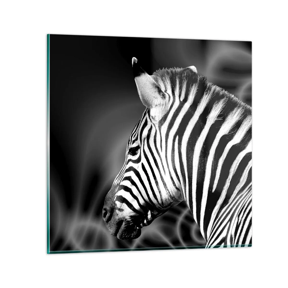 Üveg kép - A fehér fehér, a fekete pedig fekete - 30x30 cm