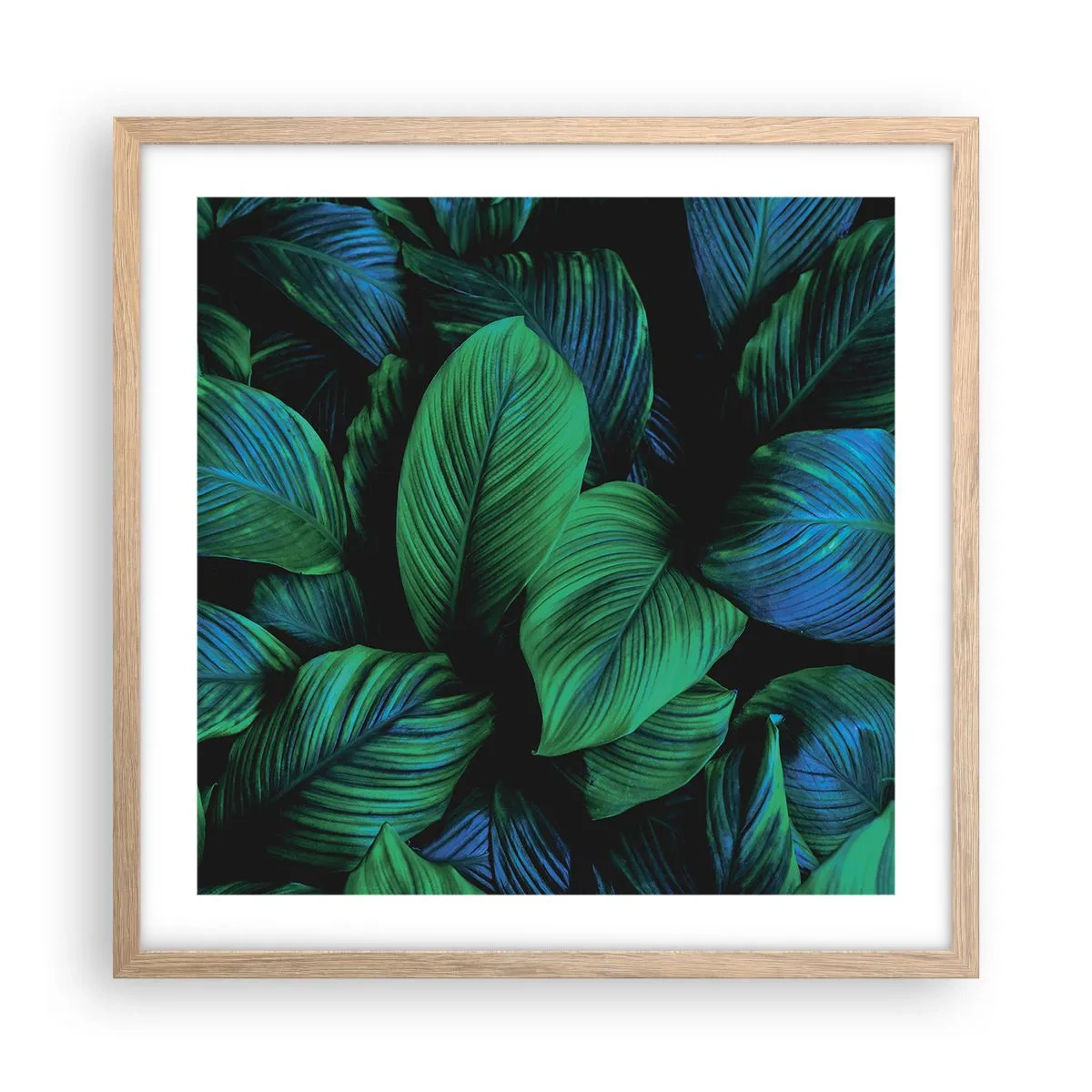 Poszter világos tölgy keretben - A zöld tömegben - 50x50 cm