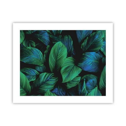 Poszter - A zöld tömegben - 50x40 cm